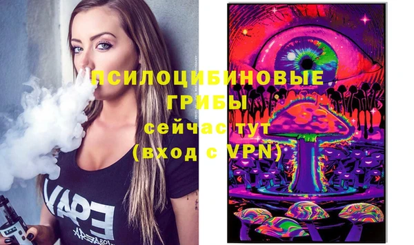 мдма Ладушкин