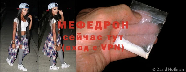 гидра Лагань