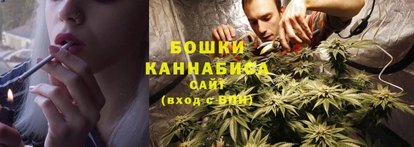 гидра Лагань