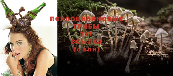 mix Лабытнанги