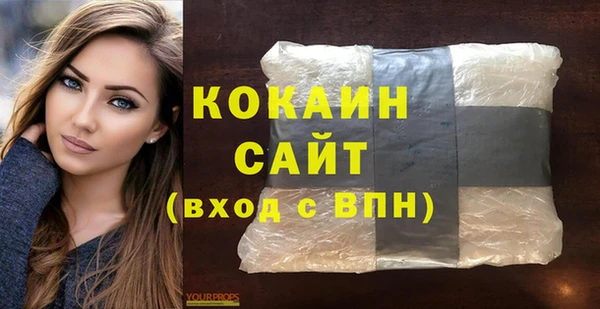 гидра Лагань