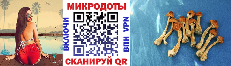 Купить  Дмитриев  Псилоцибиновые грибы MAGIC MUSHROOMS 